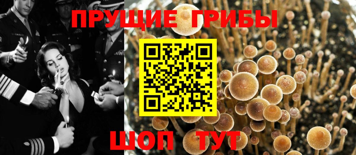 Галлюциногенные грибы MAGIC MUSHROOMS Комсомольск-на-Амуре